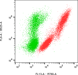 Rabbit-anti CGB8 monoclonal antibody