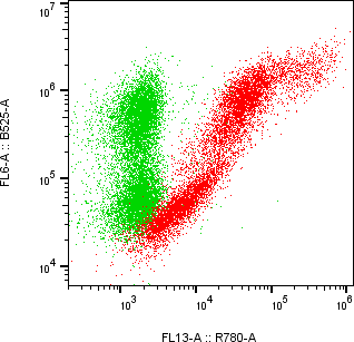 Rabbit-anti KIR2DL2 monoclonal antibody
