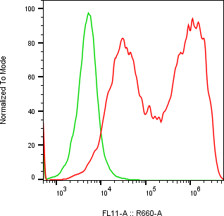 Rabbit-anti EPYC monoclonal antibody