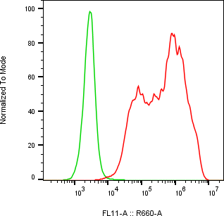 Rabbit-anti CCL23 monoclonal antibody