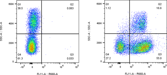 Rabbit-anti IL7R monoclonal antibody
