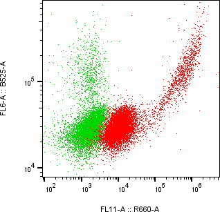 Rabbit-anti SERPINF2 monoclonal antibody