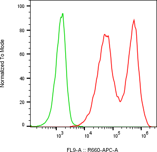 Rabbit-anti REG1B monoclonal antibody