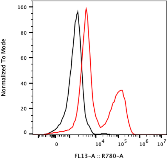 Rabbit-anti SLITRK6 monoclonal antibody