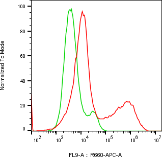 Rabbit-anti CALCA monoclonal antibody