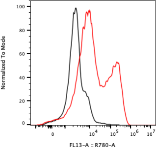 Rabbit-anti IL13 monoclonal antibody