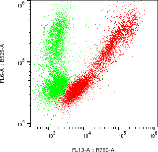 Rabbit-anti hIGF2 monoclonal antibody