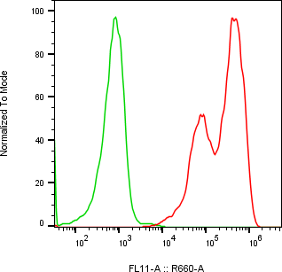 Rabbit-anti CGB2 monoclonal antibody