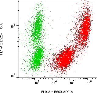Rabbit-anti REG1B monoclonal antibody