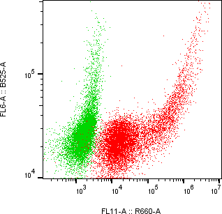 Rabbit-anti SERPINA5 monoclonal antibody