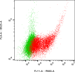 Rabbit-anti ITIH3 monoclonal antibody