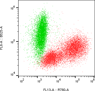 Rabbit-anti GAST monoclonal antibody