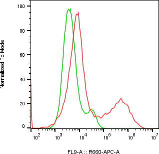 Rabbit-anti CALCA monoclonal antibody