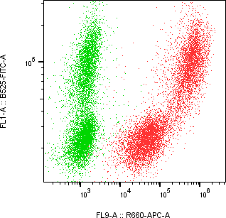 Rabbit-anti SPINK1 monoclonal antibody