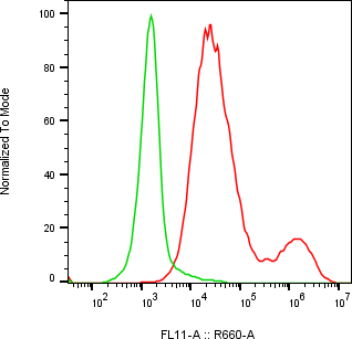 Rabbit-anti CD71 monoclonal antibody