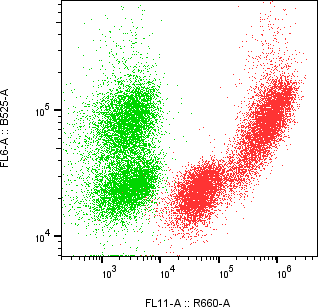 Rabbit-anti GC monoclonal antibody