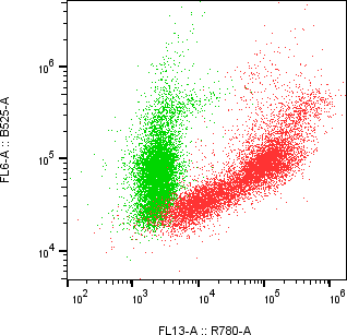 Rabbit-anti KIR2DL5A monoclonal antibody