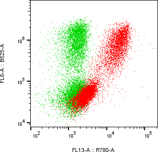Rabbit-anti BST1 monoclonal antibody