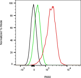 Rabbit-anti MMP9 monoclonal antibody