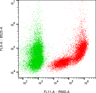 Rabbit-anti CD244 monoclonal antibody