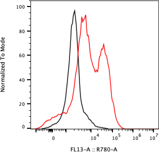 Rabbit-anti NTF4 monoclonal antibody