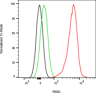 Rabbit-anti hIGF2 monoclonal antibody