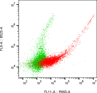 Rabbit-anti GPNMB monoclonal antibody