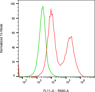 Rabbit-anti TPP1 monoclonal antibody