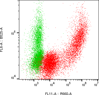 Rabbit-anti AVP monoclonal antibody