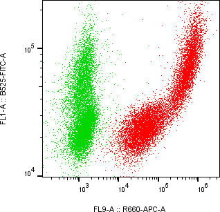 Rabbit-anti PRG2 monoclonal antibody