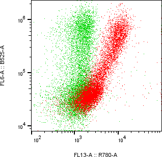 Rabbit-anti NRP1 monoclonal antibody