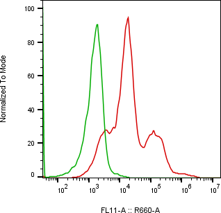 Rabbit-anti SLPI monoclonal antibody