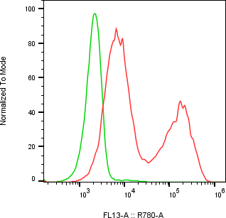 Rabbit-anti MMP9 monoclonal antibody