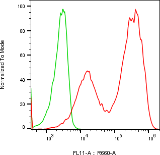 Rabbit-anti AHSG monoclonal antibody