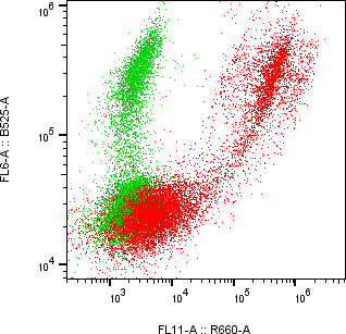 Rabbit-anti LYG1 monoclonal antibody