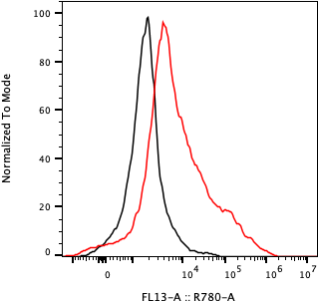 Rabbit-anti CSF3R monoclonal antibody