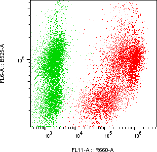 Rabbit-anti PNLIP monoclonal antibody