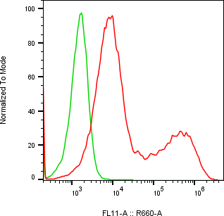 Rabbit-anti SPESP1 monoclonal antibody