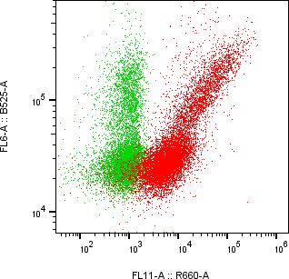 Rabbit-anti ROR2 monoclonal antibody