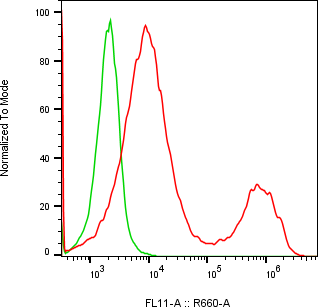 Rabbit-anti NECTIN4 monoclonal antibody
