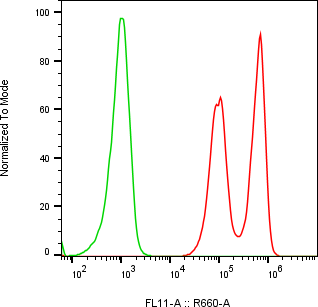 Rabbit-anti PILRA monoclonal antibody