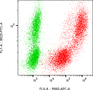 Rabbit-anti SPINK1 monoclonal antibody
