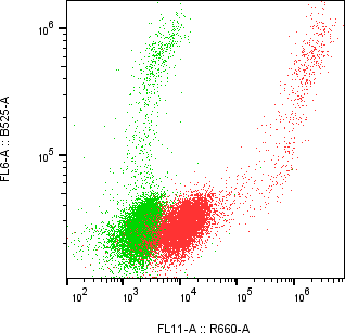 Rabbit-anti SHISAL1 monoclonal antibody