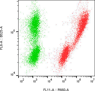 Rabbit-anti PD-L1 monoclonal antibody