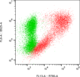 Rabbit-anti KIR2DL2 monoclonal antibody