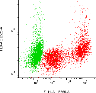 Rabbit-anti AZGP1 monoclonal antibody
