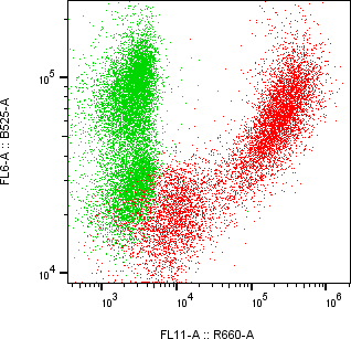 Rabbit-anti AHSG monoclonal antibody