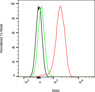 Rabbit-anti BTN1A1 monoclonal antibody
