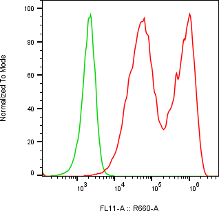 Rabbit-anti PGLYRP4 monoclonal antibody