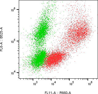 Rabbit-anti BTN1A1 monoclonal antibody